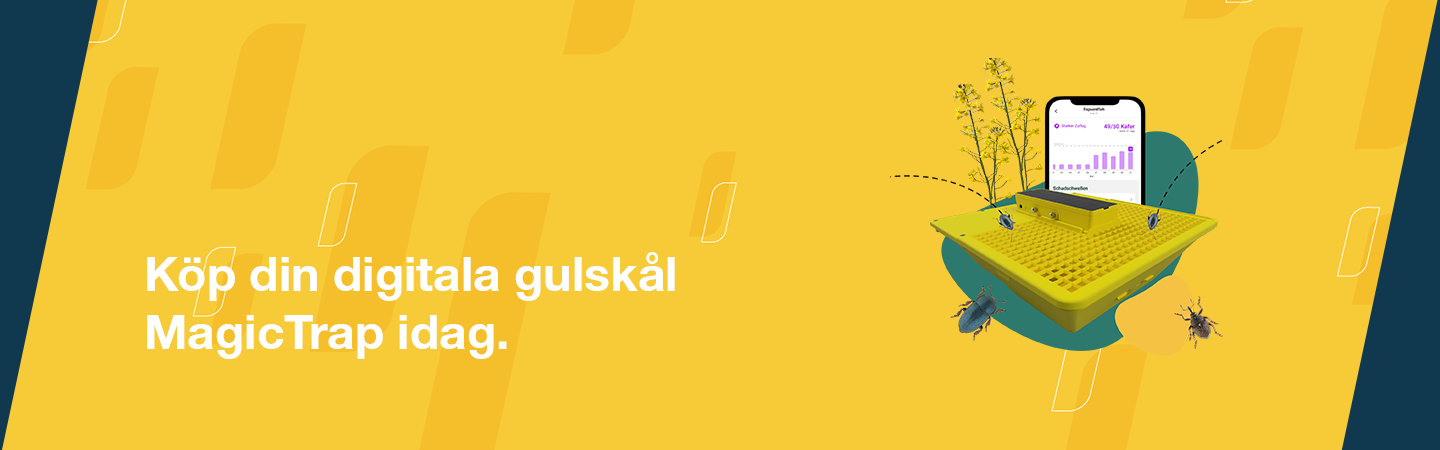 Köp din automatiska gulskål magic trap idag.